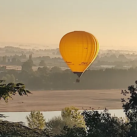 L'angeline Gennes-Val-de-Loire