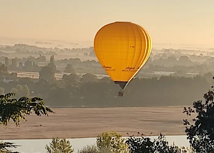 L'angeline Gennes-Val-de-Loire